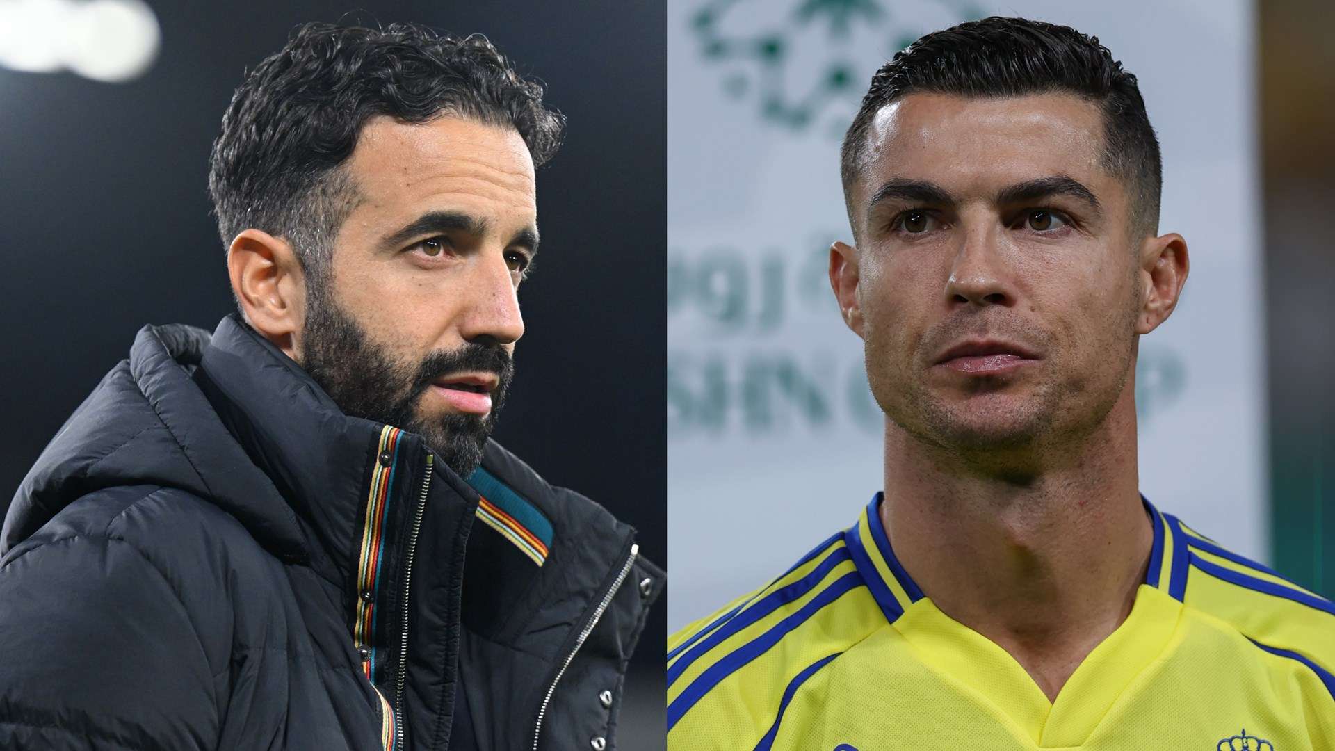 他们凭借仅 他们凭借仅