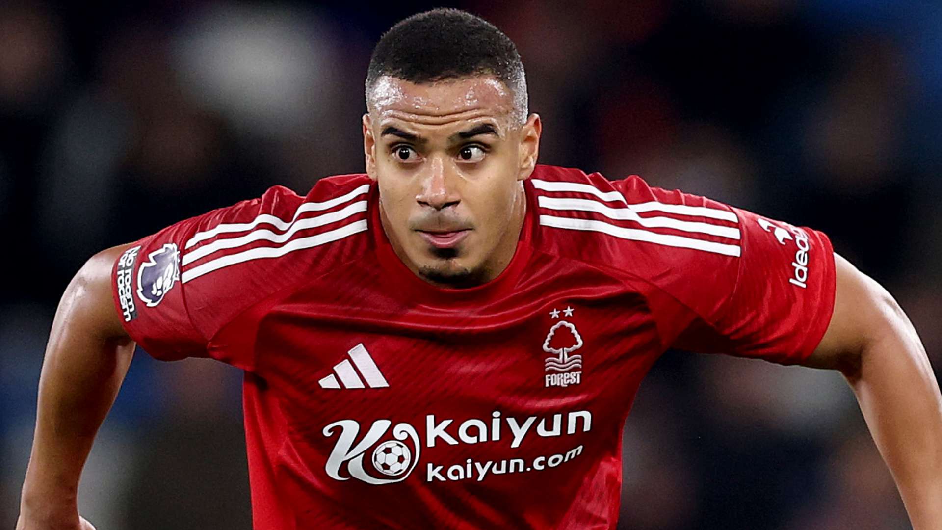 同样高龄的 同样高龄的